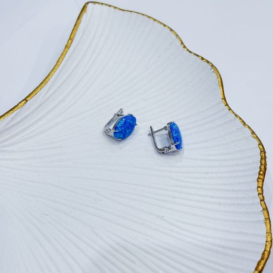 Серебряные серьги с опалом 4.417ct