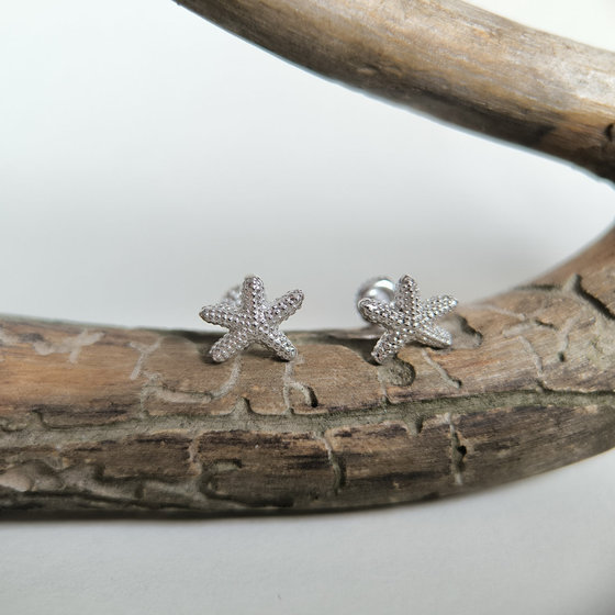 Серебряные серьги без камней